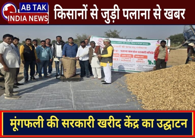 पलाना में मूंगफली की सरकारी खरीद केंद्र का उद्घाटन