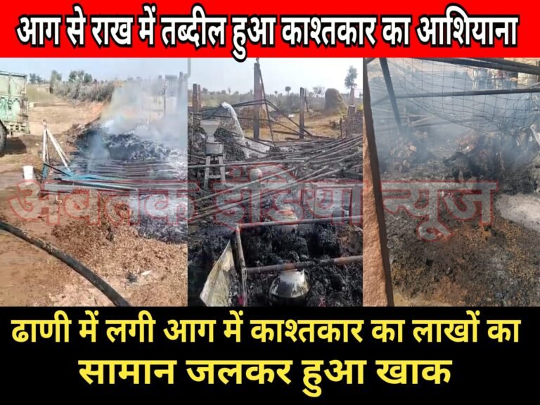 देशनोक : ढाणी में लगी आग, नगदी,जेवर,पशुधन सहित घरेलू सामान जलकर राख, लाखों के नुकसान से सदमे में काश्तकार