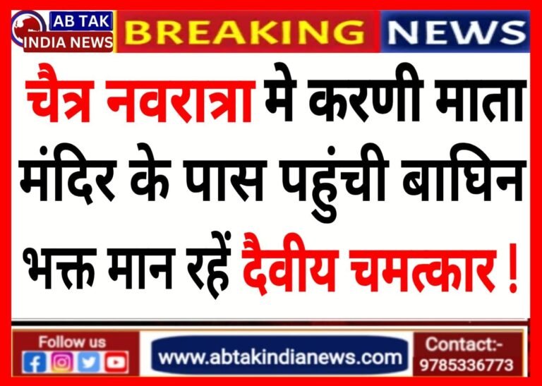 चैत्र नवरात्र में करणी माता मंदिर के पास पहुंची बाघिन, भक्त इसे मान रहे दैवीय घटना !