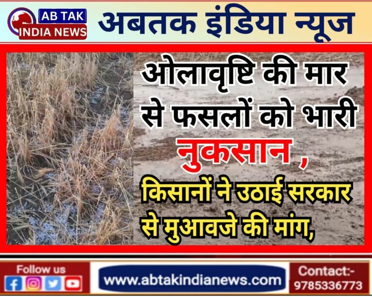 ओलावृष्टि ने तोड़ी किसानों की कमर ,गेहूं व ईसबगोल की फसलें हुई बर्बाद ,किसान अब सरकार से कर रहे  मुआवजे की मांग